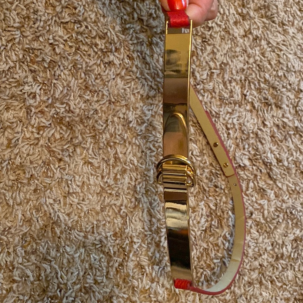 BCBGMaxazria skinny accent belt